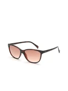 IDEE IDEE Women Brown Lens & Brown Cateye Sunglasses with UV Protected Lens