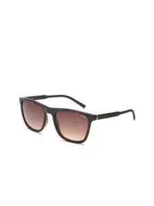 IDEE IDEE Men Brown Lens & Brown Square Sunglasses with UV Protected Lens