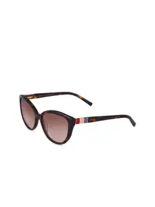 Tommy Hilfiger Tommy Hilfiger Women Brown Lens & Brown Cateye Sunglasses with UV Protected Lens
