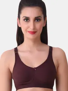 MAROON All Day Comfort Non Padded Medium Coverage Cotton Everyday Bra