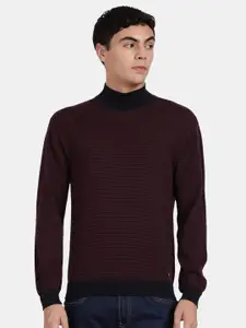 t-base Striped Turtle Neck Ribbed Cotton Pullover