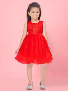 Aarika Girls Floral Embroidered Applique Fit & Flare Dress
