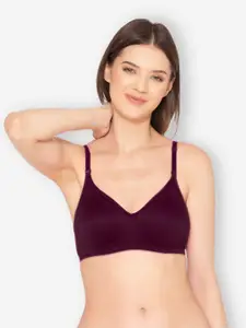 GROVERSONS Paris Beauty Cotton Lycra Non Padded Full Coverage All Day Comfort Seamless Bra