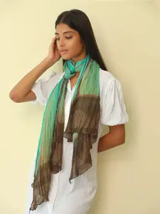 Ayesha Women Ombre Scarf