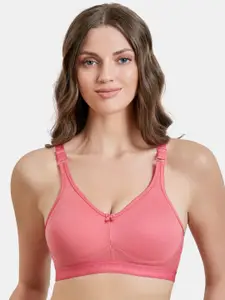 MAROON Full Coverage All Day Comfort Seamless Cotton Everyday Bra