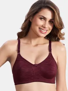MAROON Cotton Non Padded All Day Comfort Full Coverage Seamless Super Support Bra