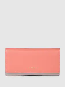 Caprese Women Colourblocked Two Fold Wallet