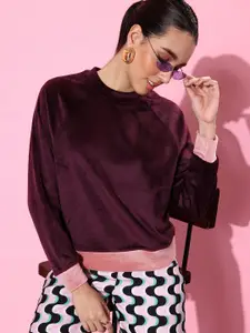 The Roadster Life Co. Colourblocked Velour Sweatshirt