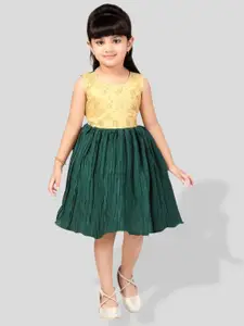 BAESD Girls Embroidered Silk Fit & Flare Dress