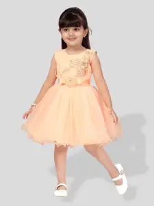 BAESD Girls Floral Embroidered Net Fit & Flare Dress