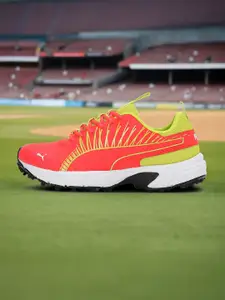 Puma Cricket Square Men Shoes