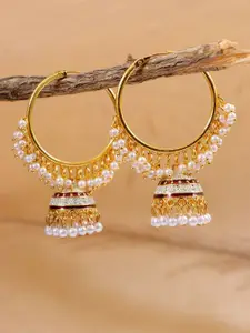 Crunchy Fashion Gold-Plated Dome Shaped Hoop Earrings