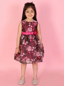 Lil Peacock Girls Applique Floral Printed A-Line Dress