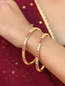 Ratnavali Jewels Set Of 2 Gold-Plated Bangles