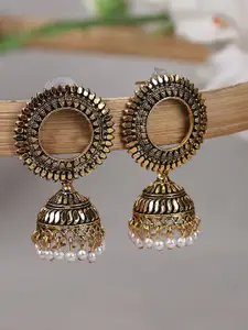 ANIKAS CREATION Gold Plated Contemporary Jhumkas Earrings