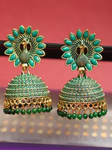 ANIKAS CREATION Gold-Plated Contemporary Jhumkas Earrings