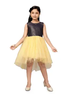 BAESD Girls Self Design Round Neck Sleeveless Fit & flare Sequined Dress