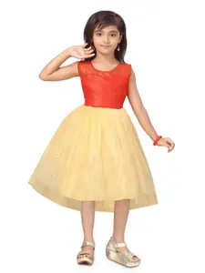 BAESD Self Design Net Sleeveless Fit & Flare Dress