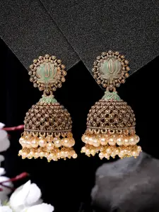 ADIVA Gold-Plated Contemporary Jhumkas