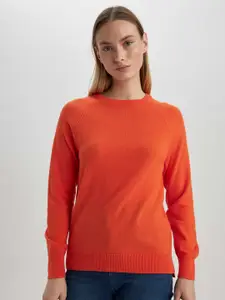 DeFacto Round Neck Long Sleeves Acrylic Pullover