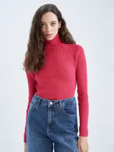 DeFacto Turtle Neck Ribbed Pullover