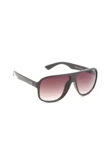 IRUS by IDEE Men Lens & Square Sunglasses With UV Protected Lens