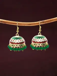 OOMPH Green Dome Shaped Beaded Meenakari Jhumkas