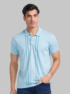 Park Avenue Striped Polo Collar Slim Fit Cotton Casual T-shirt
