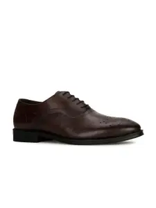 Hush Puppies Men Perforated Leather Formal Oxfords