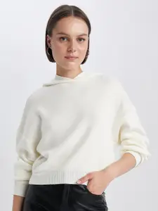 DeFacto Hood Crop Acrylic Pullover Sweaters