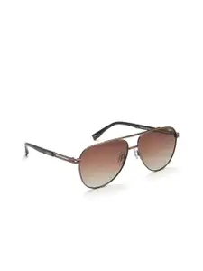 IDEE Men Brown Lens & Brown Aviator Sunglasses with UV Protected Lens