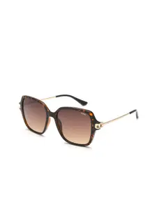 IDEE Women Square Sunglasses with UV Protected Lens IDS2962C2SG