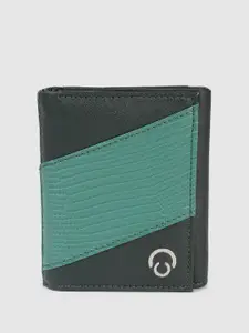 Caprese Zoey Women Green Small Wallet