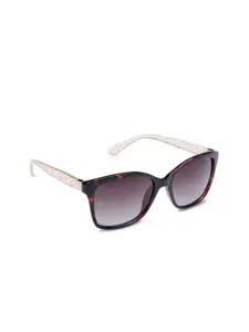 INVU Women Cateye Sunglasses B2704B
