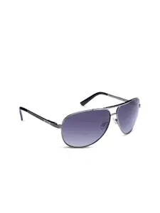 INVU Men Aviator Sunglasses