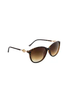 DressBerry Women Brown Lens & Brown Oval Sunglasses with UV Protected Lens DB-P8558-C4