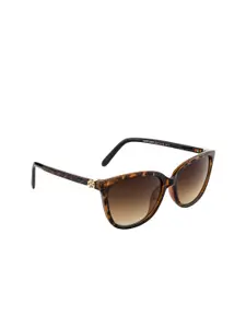DressBerry Women Brown Lens & Brown Square Sunglasses with UV Protected Lens DB-P8554-C4