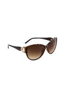 DressBerry Women Brown Lens & Brown Cateye Sunglasses with UV Protected Lens DB-P8556-C4