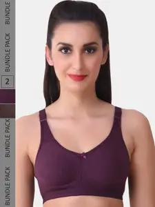 MAROON Pack of 2 Seamless Bra Heavily Padded Medium Coverage All Day Comfort