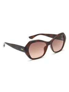 IDEE Women Butterfly Sunglasses With UV Protected Lens IDS2811C2SG