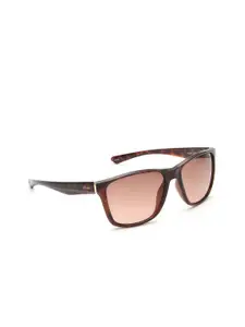 IRUS by IDEE Men Rectangle Sunglasses with UV Protected Lens - IRS1026C3SG