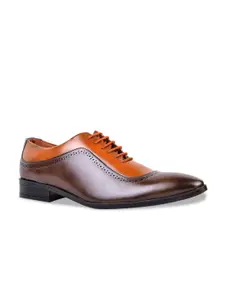 Cliff Fjord Men Colourblocked Perforated Formal Oxfords