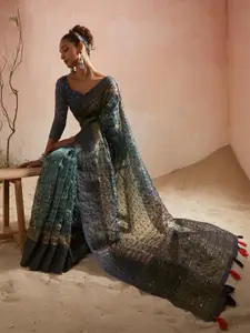 Soch Floral Sequinned Organza Pochampally Saree