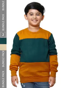 IndiWeaves Boys Pack Of 2 Colourblocked Pullover Fleece Sweatshirts