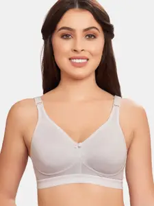MAROON Cotton Seamless Full Coverage Bra All Day Comfort