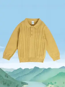 MINI KLUB Boys Cable Knit Self Design Polo Collar Cotton Pullover Sweater