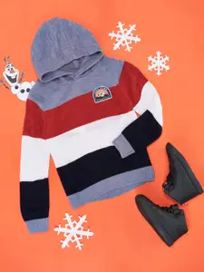 Pantaloons Junior Boys Colourblocked Hooded Acrylic Pullover