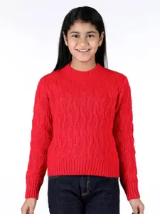 Wingsfield Girls Cable Knit Acrylic Pullover Sweaters