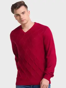 ColorPlus Geometric Self Design V-Neck Long Sleeves Tailored Fit Pullover Sweater