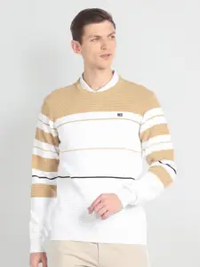 Arrow Sport Striped Long Sleeves Pullover